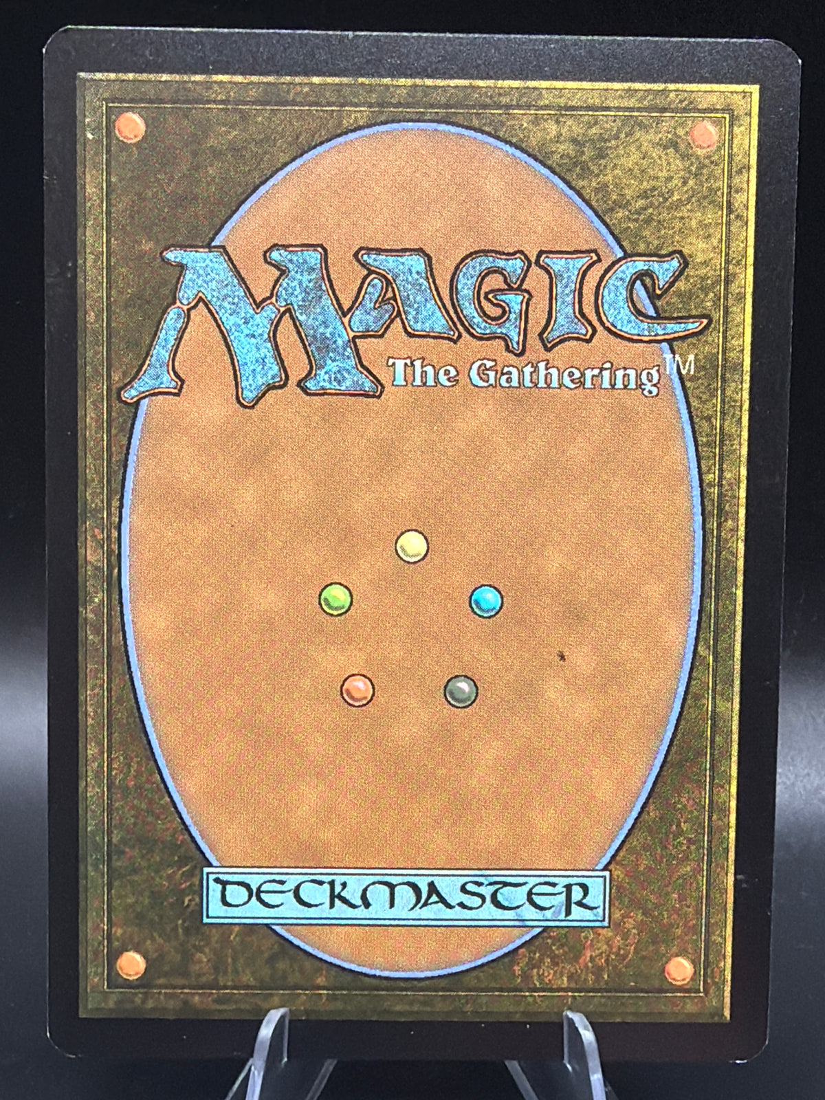 MTG TCG: Firion, Wild Rose Warrior (Borderless) - FINAL FANTASY (FIN)