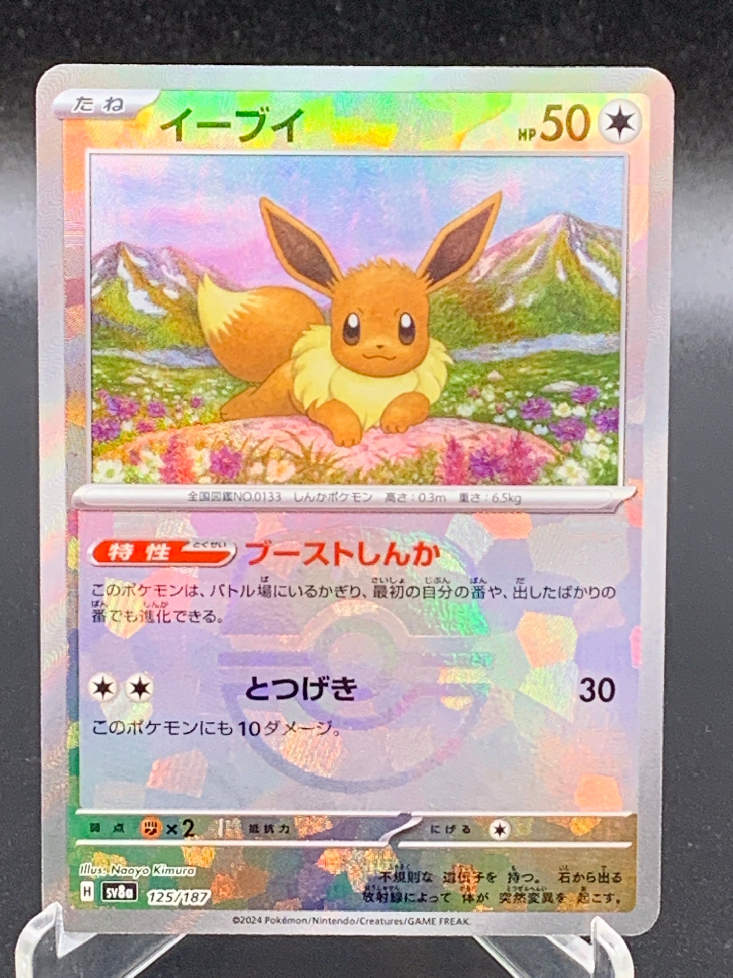 Pokémon TCG: 2024 Japanese Eevee Master Ball 125/187 Terastal Fest ex sv8a