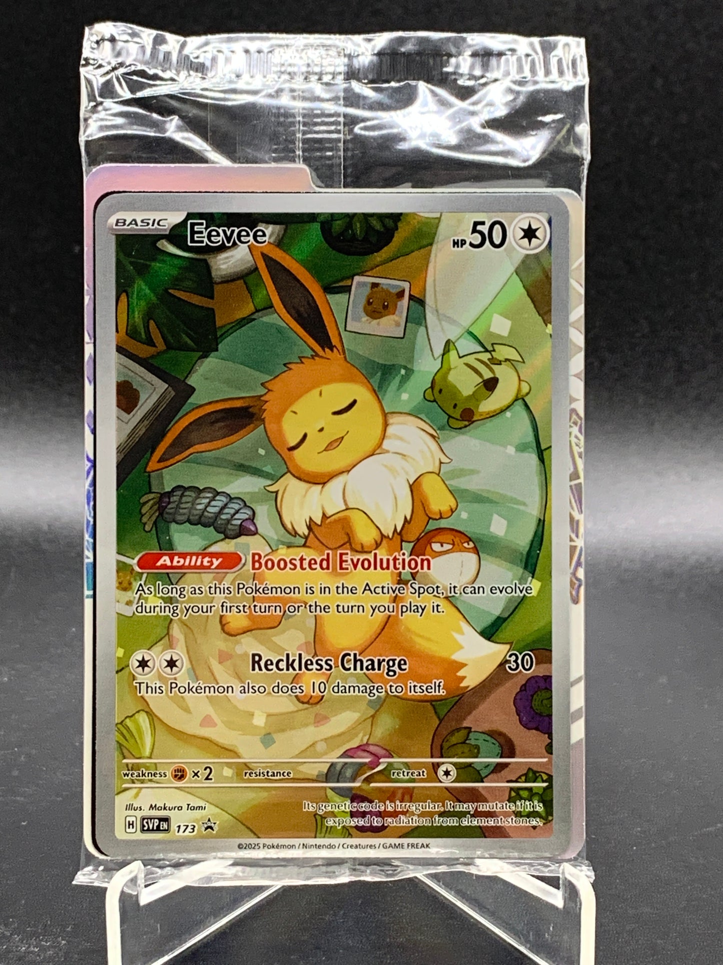 Pokémon TCG: 2024 Eevee 173 SV: Scarlet & Violet Promo Cards Sealed