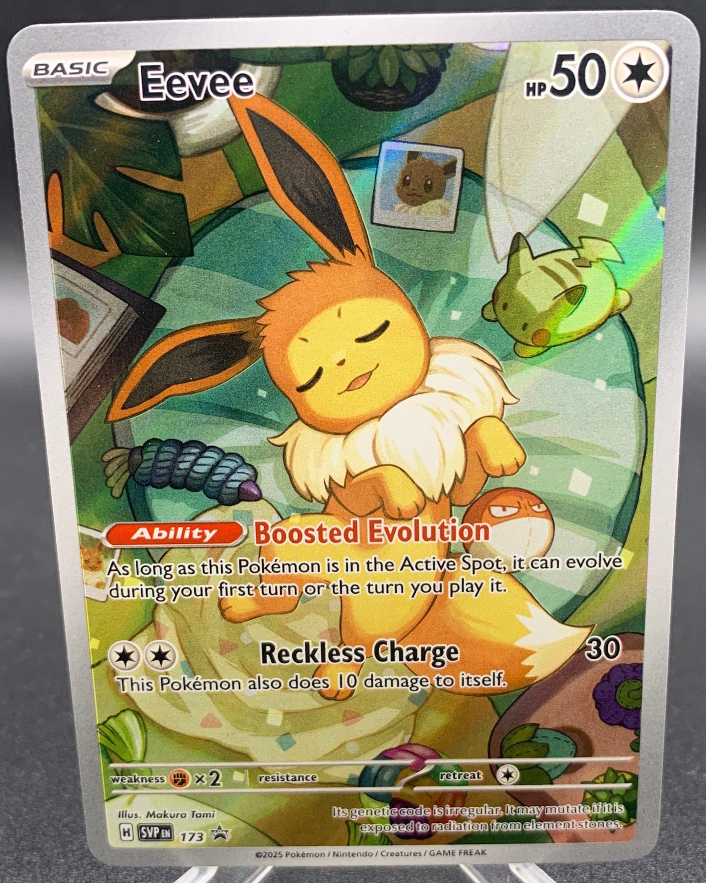 Pokémon TCG: 2024 Eevee SVP 173 SV: Scarlet & Violet Promo Cards