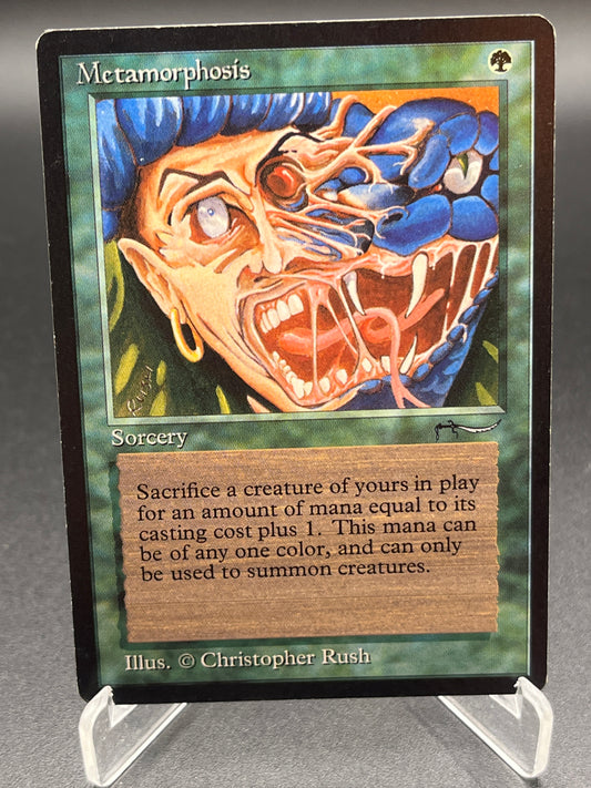 MTG TCG: Metamorphosis ARN: Arabian Nights