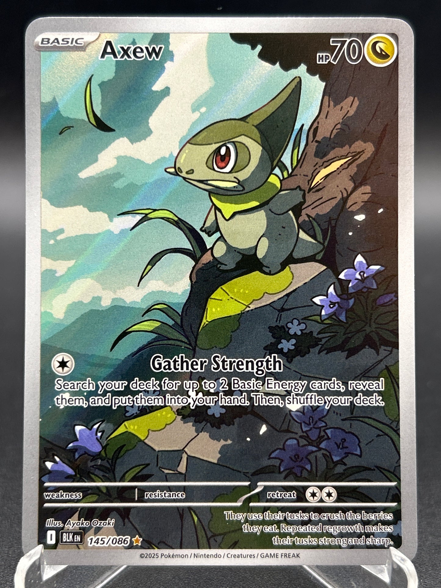 Pokémon TCG: 2025 Axew 145/086 SV: Black Bolt