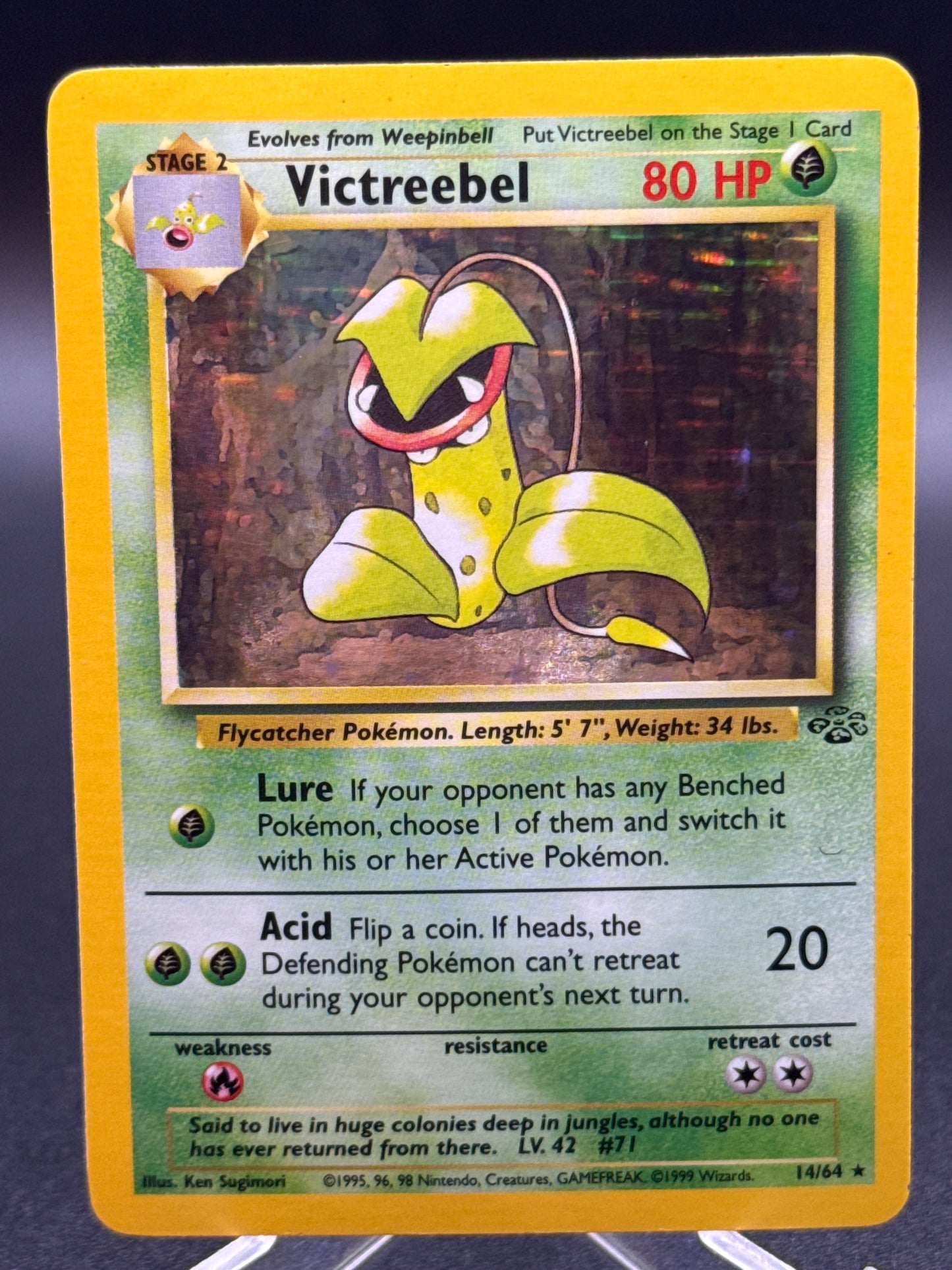 Pokémon TCG: 1999 Victreebel 14/64 Jungle Unlimited Holo
