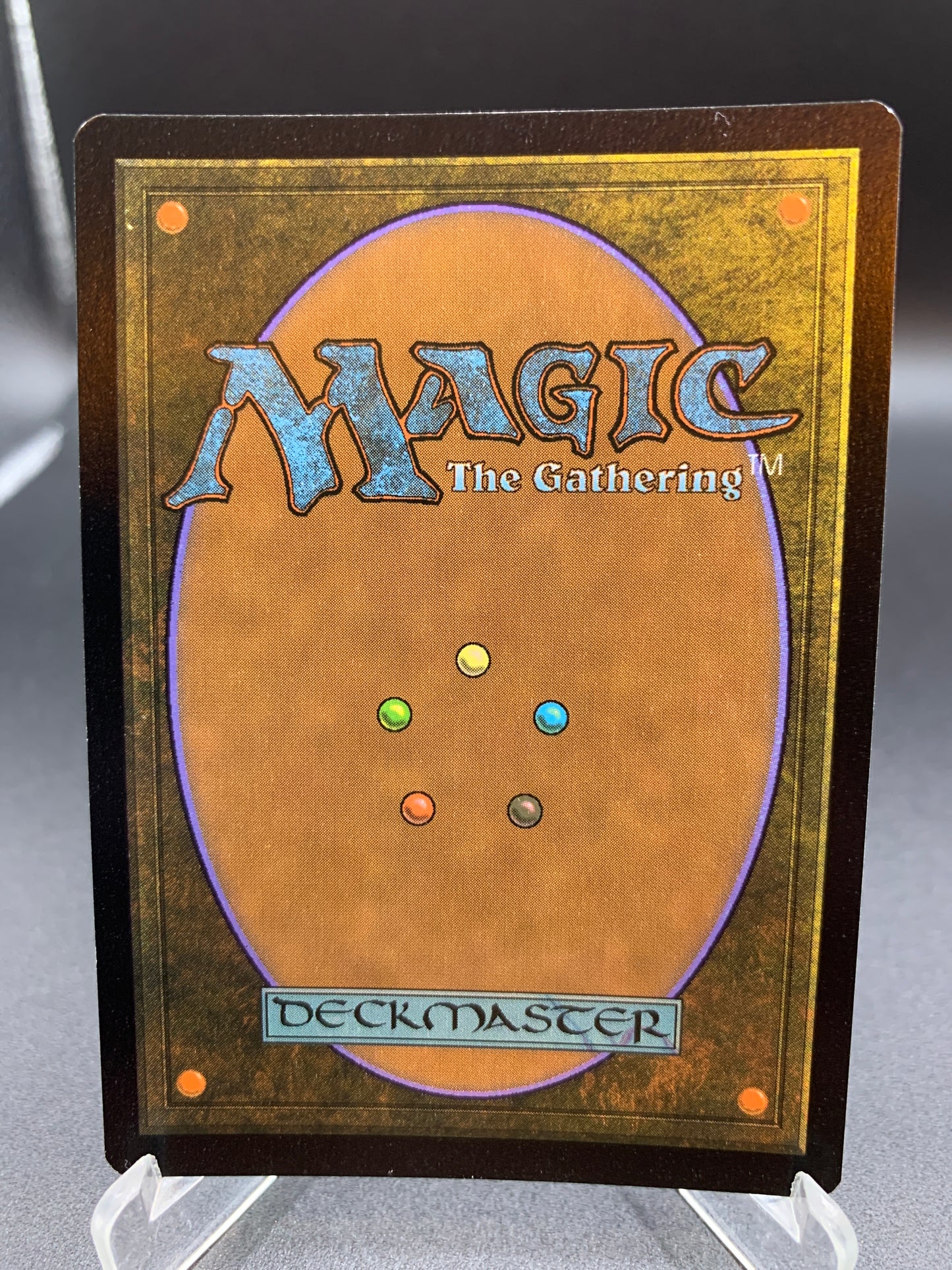 MTG TCG: Windswept Heath Foil 005/030 ZNE: Zendikar Rising Expeditions