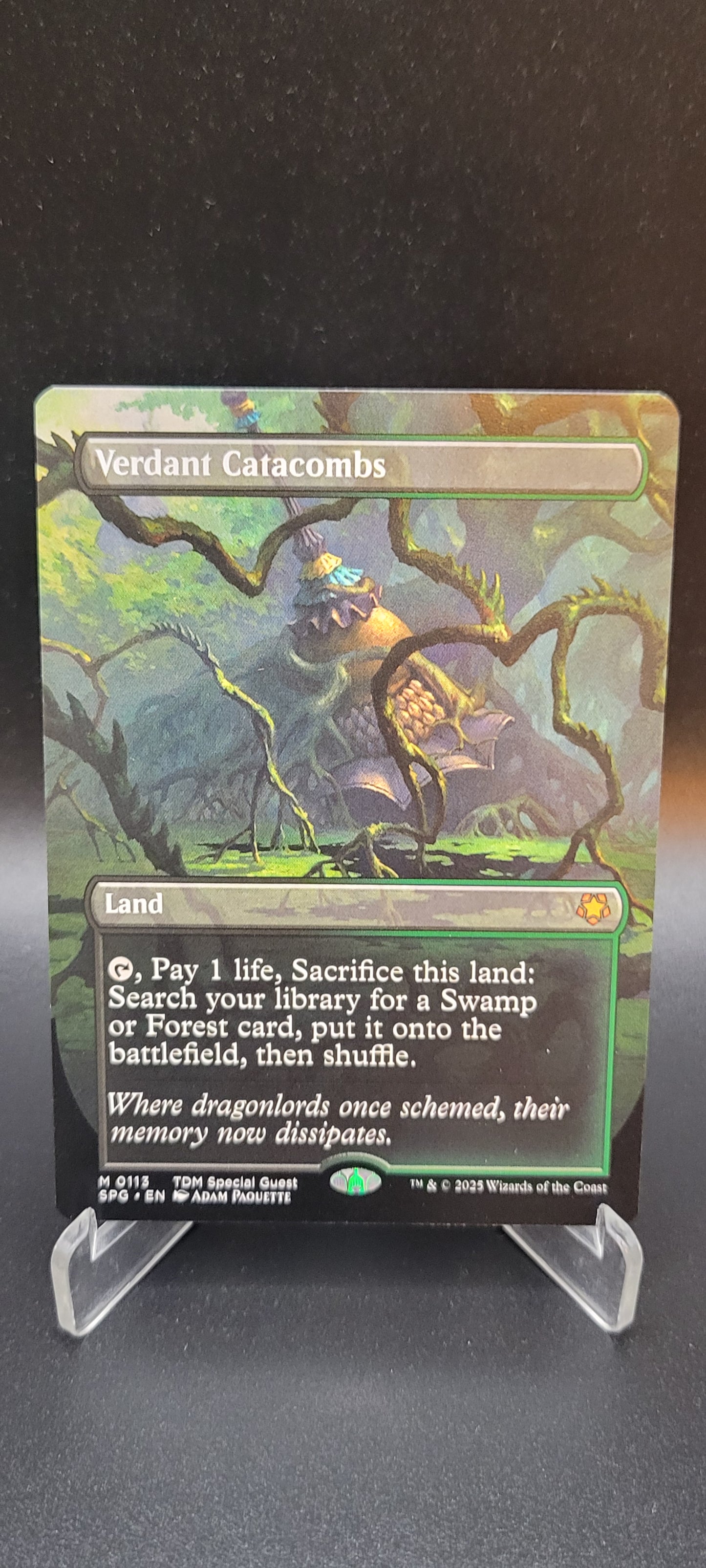 MTG TCG: Verdant Catacombs (Borderless) 0113 SPG: Special Guests