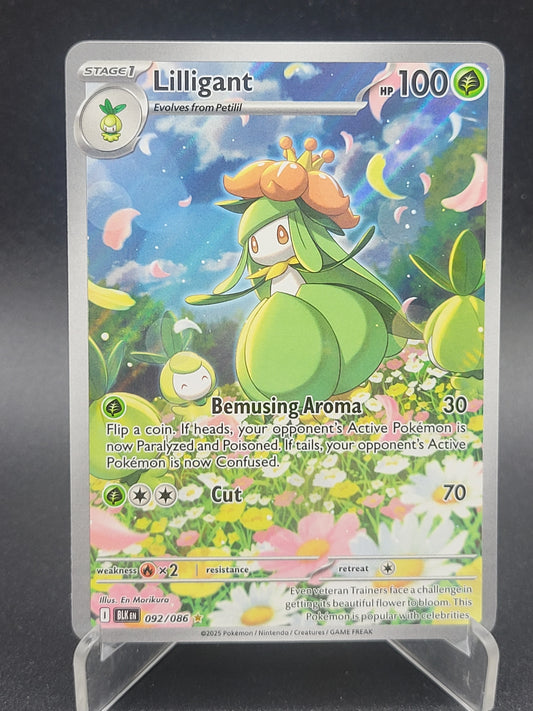 Pokémon TCG: 2025 Lilligant 092/086 SV: Black Bolt