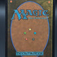 MTG TCG: 2025 MTG Spectacular Spider-Man (Borderless) - Marvel's Spider-Man (SPM)