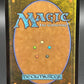 MTG TCG: Aettir and Priwen M 0253 FIN: FINAL FANTASY