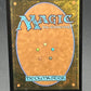 Magic The Gathering: Codie, Ravenous Codex (Showcase) - Foil - Reality Fracture (FRA)