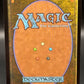Magic The Gathering: 2023 Fierce Guardianship (Borderless) - 694 - Commander Masters (CMM)