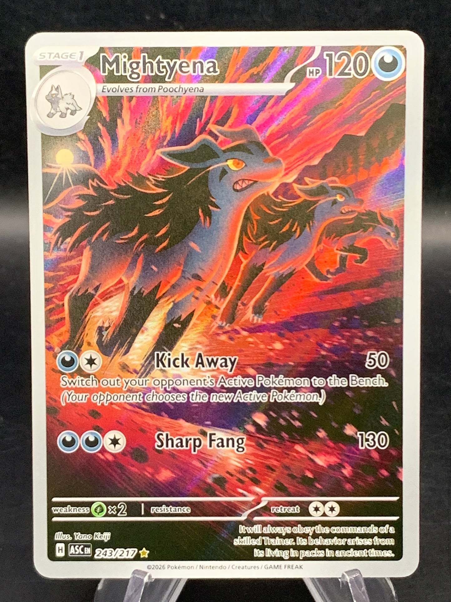 Pokémon TCG: 2026 Mightyena 243/217 - ME: Ascended Heroes