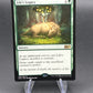 MTG TCG: Life's Legacy - Magic 2015 (M15)