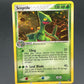 Pokémon TCG: 2004 Sceptile 4/17 - POP Series 1
