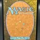 Magic The Gathering: Call Forth the Tempest (Borderless) (Surge Foil) M 0062 - The Hobbit: Eternal-Legal