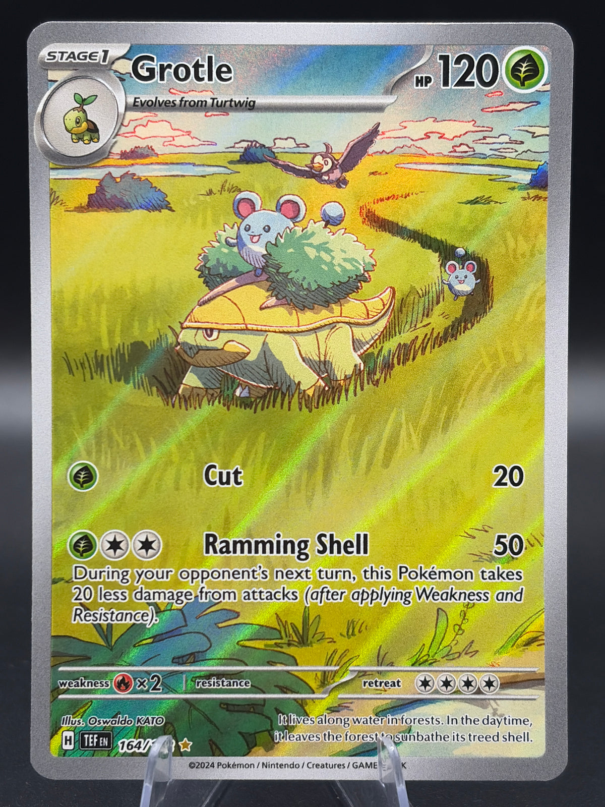 Pokémon TCG: 2024 Grotle - 164/162 - S&V: Temporal Forces