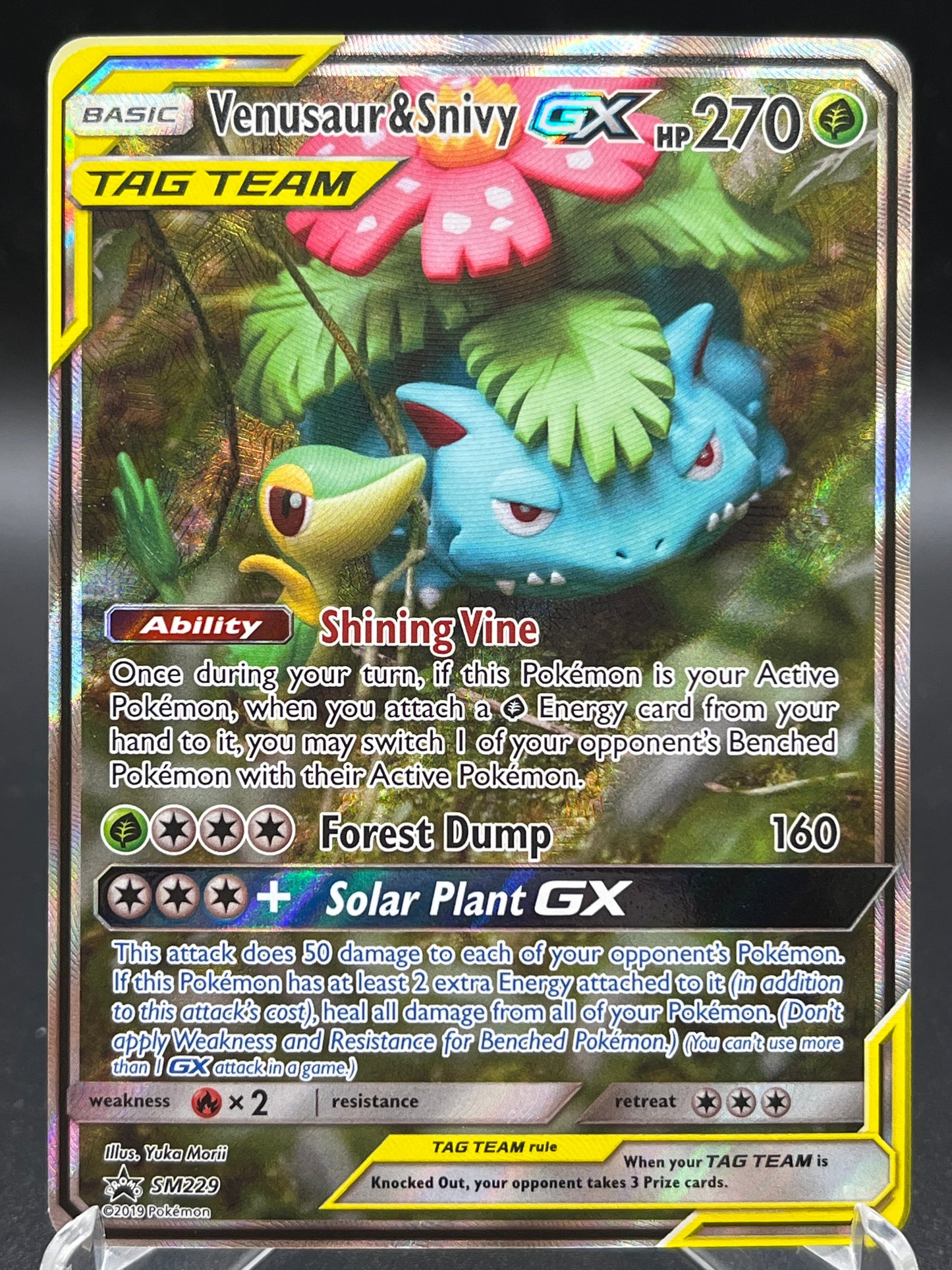 Pokémon TCG: 2023 Venusaur & Snivy GX SM229 S&M Tag Team Promo