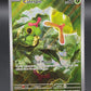 Pokémon TCG: 2023 Caterpie - 172/165 - SV: Scarlet & Violet 151