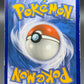 Pokémon TCG: 2019 Charizard & Braixen GX - SM230 - Sun & Moon Promo