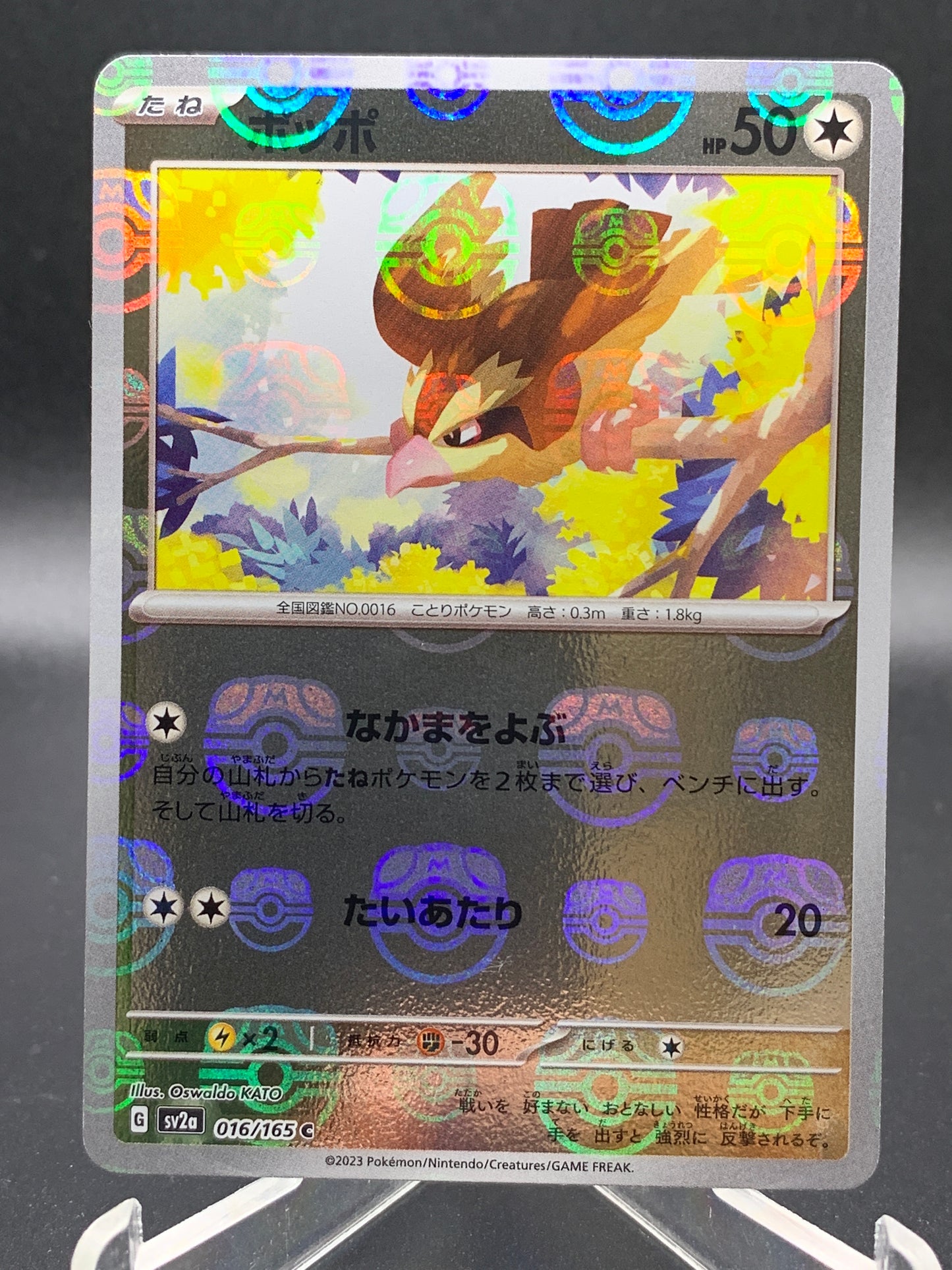Pokémon TCG: 2023 Japanese Pidgey 016/165 - Master Ball - Scarle & Violet 151