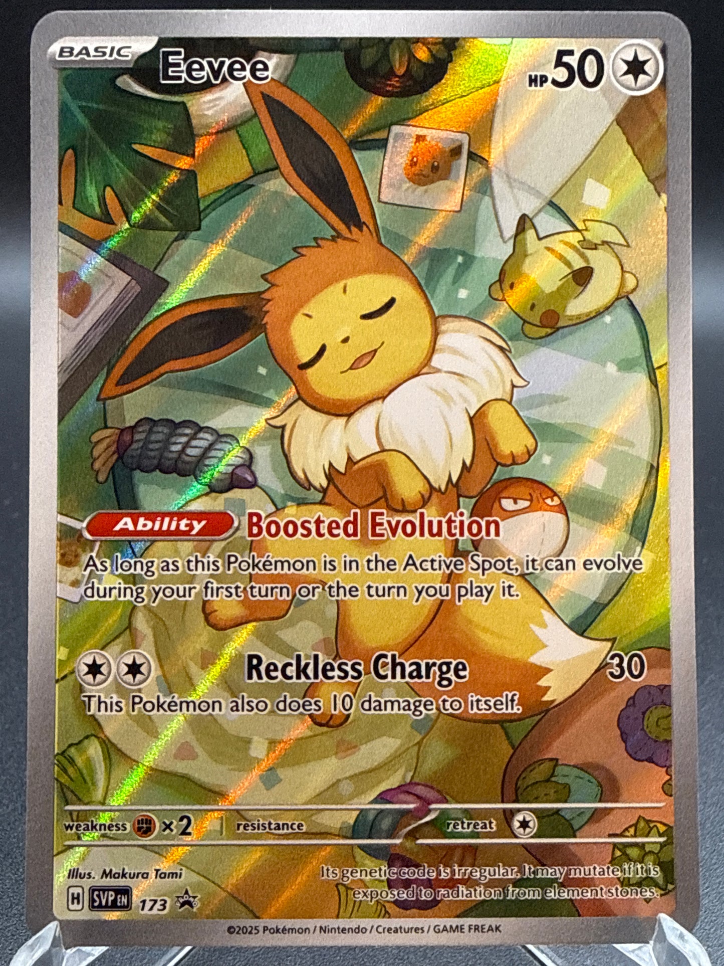 Pokémon TCG: 2024 Eevee SVP 173 SV: Scarlet & Violet Promo Cards