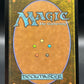 Magic The Gathering: 2026 Cavern-Hoard Dragon (Borderless) - The Hobbit: Eternal-Legal