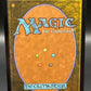 MTG TCG: 2026 Through the Forest Gate (Extended Art) - 0310 - The Hobbit (HOB)