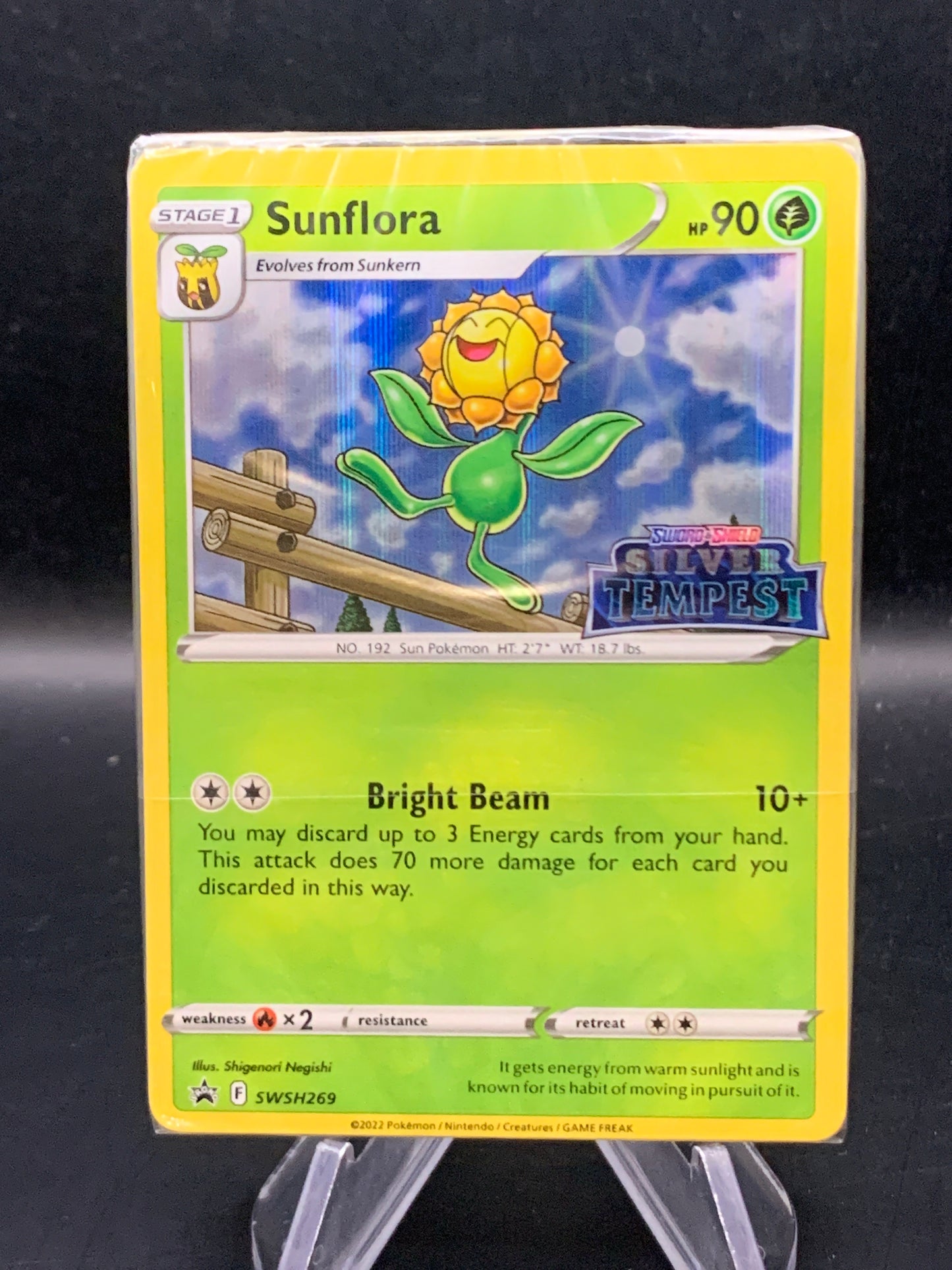 Pokémon TCG: 2022 Sunflora SWSH269 SWSH: Silver Tempest Prerelease (Sealed)