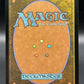 Magic The Gathering: 2026 Tom Bombadil (Borderless) (Surge Foil) - The Hobbit: Eternal-Legal