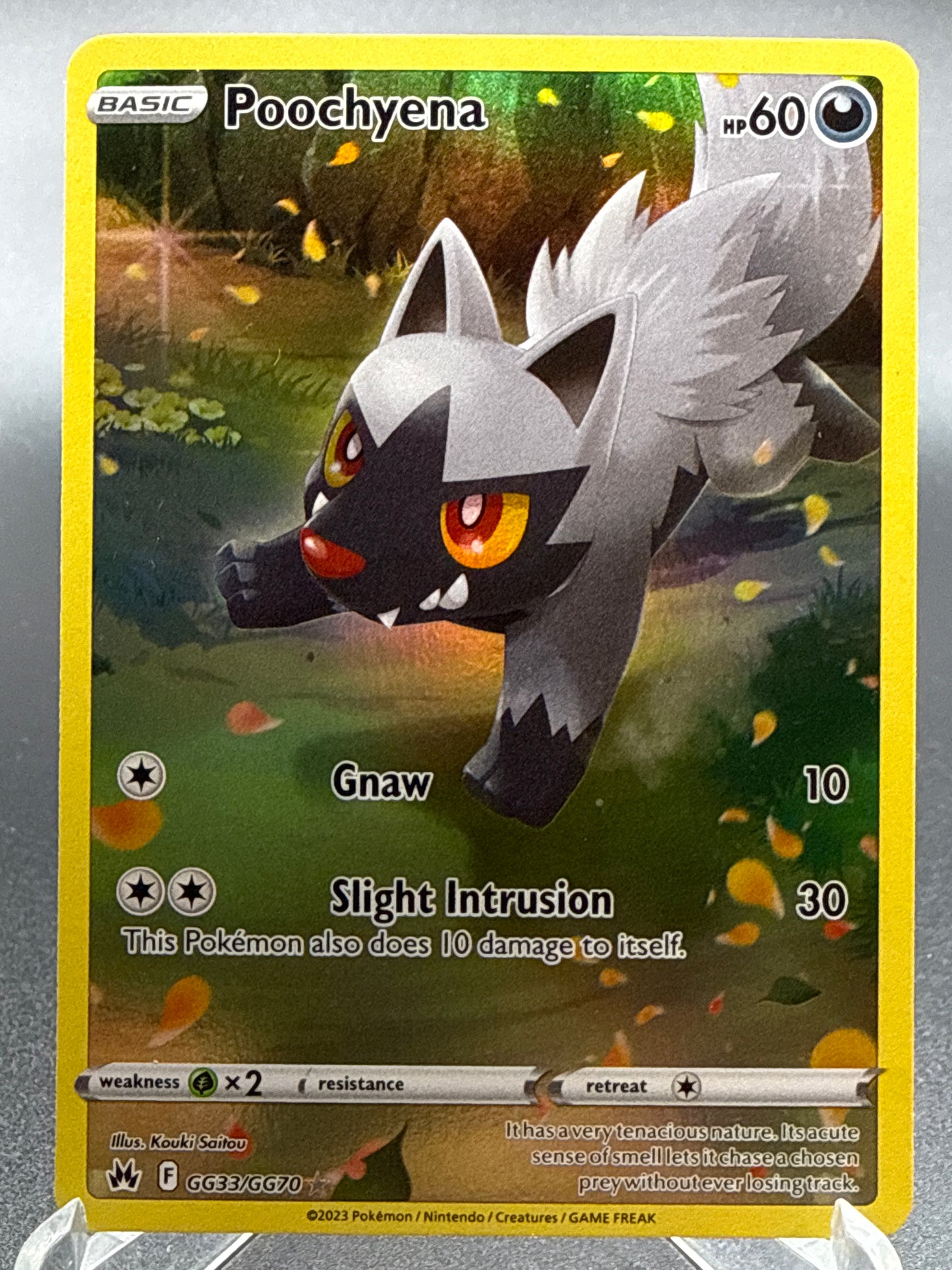 Pokémon TCG: 2023 Poochyena - GG33/GG70 - SWSH: Crown Zenith Galarian Gallery
