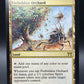 Magic The Gathering: 2004 Forbidden Orchard - Champions of Kamigawa (CHK)