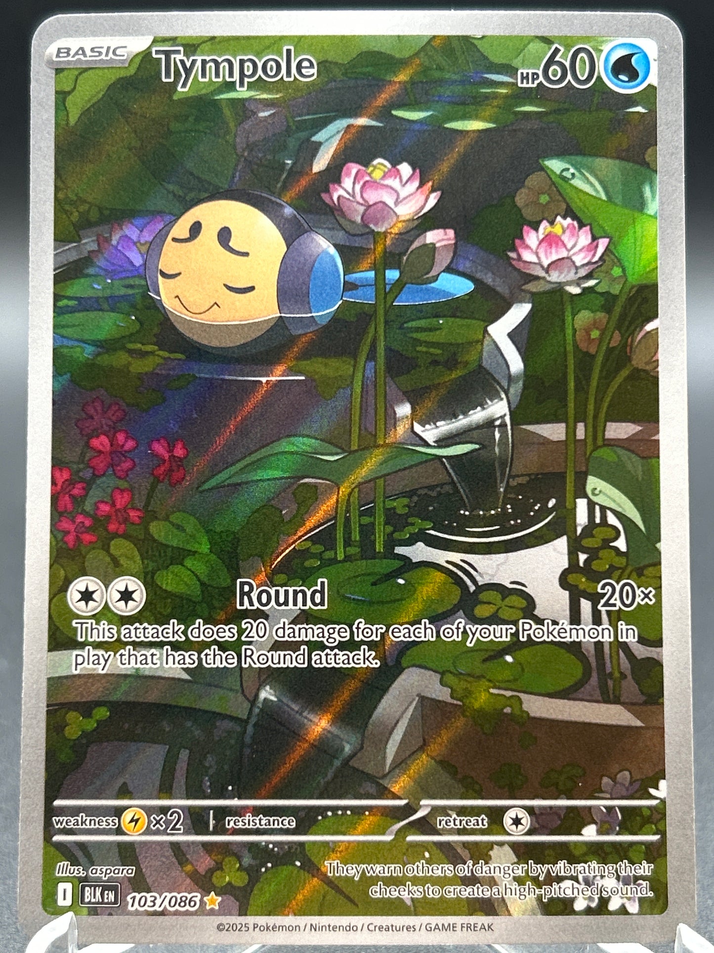 Pokémon TCG: 2025 - Tympole - 103/086 - SV: Black Bolt
