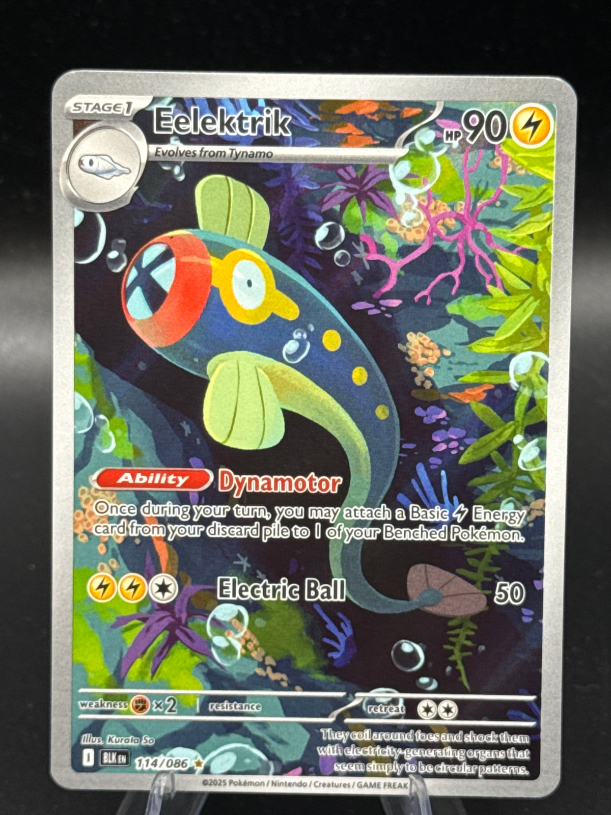 Pokémon TCG: 2025 Eelektrik 114/086 SV: Black Bolt