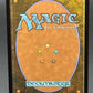 MTG TCG: Delighted Halfling (Borderless) M 0025 - The Hobbit