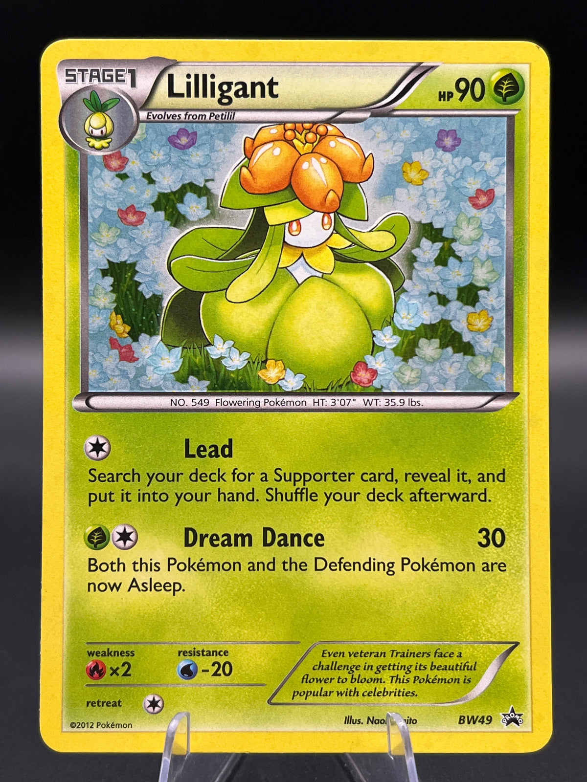 Pokémon TCG: 2012 Lilligant BW49 - Black & White Promo