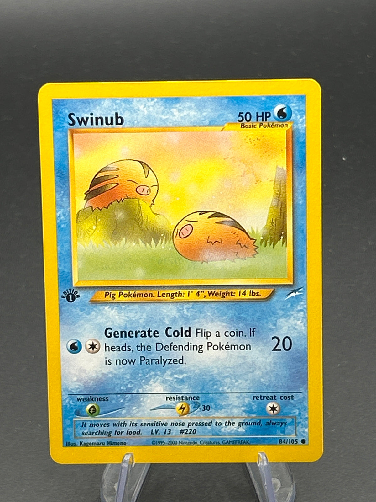 Pokémon TCG: 2002 Swinub - 84/105 - Neo Destiny - 1st Edition