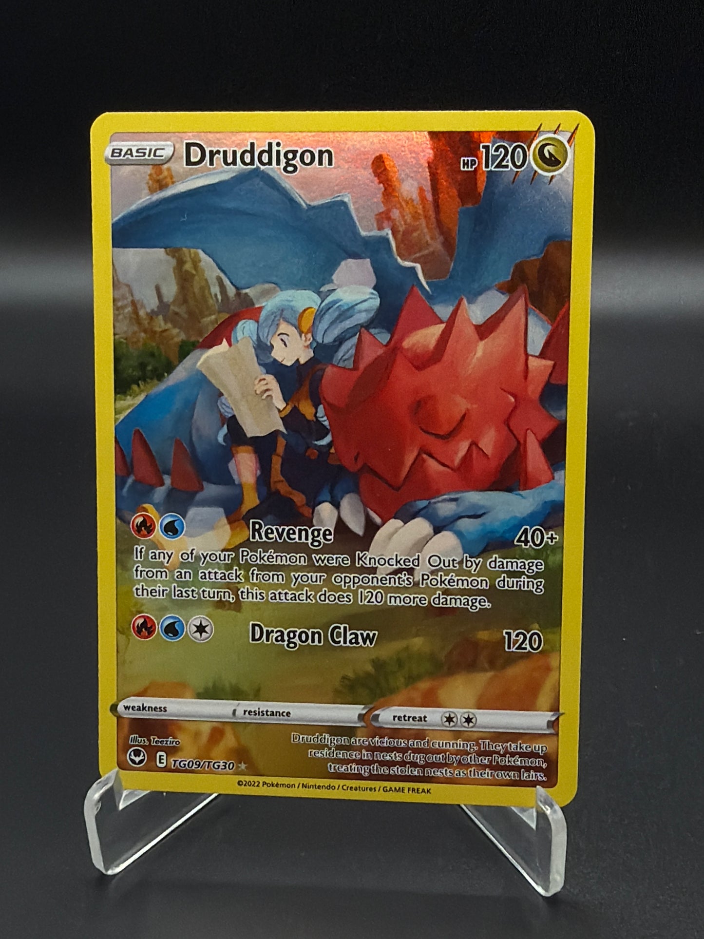 Pokémon TCG: 2022 Druddigon TG09/TG30 Silver Tempest Trainer Gallery