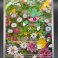 Pokémon TCG: 2026 Fomantis - 085/084 - ME05: Pitch Black
