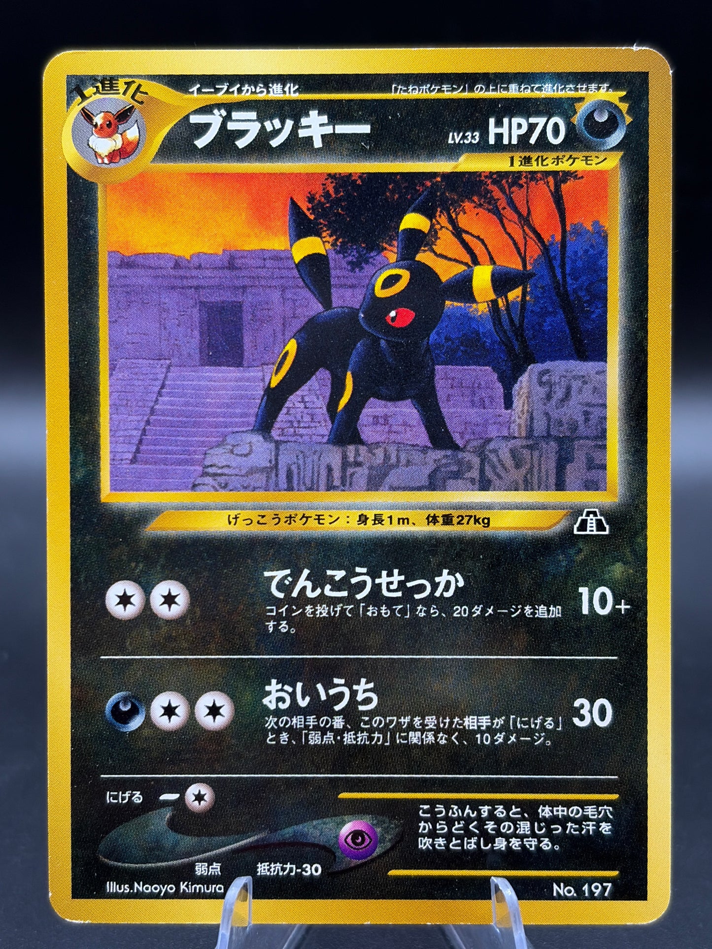 Pokémon TCG: Japanese Umbreon No.197 Neo Premium File 2