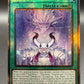 Yu-Gi-Oh! TCG: Draco Awakening (Starlight Rare) - DOOD-EN064 - Doom of Dimensions