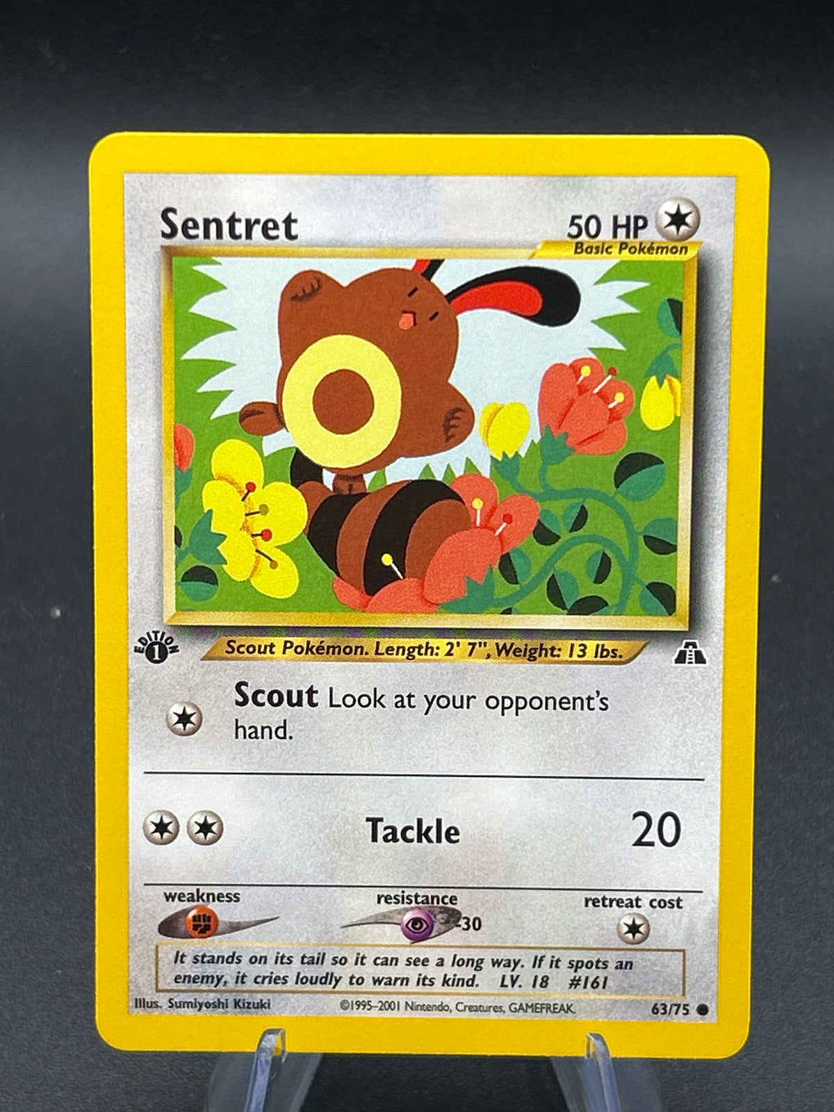 Pokémon TCG: 2001 1st Edition Sentret 63/75 - Neo Discovery – Epic ...
