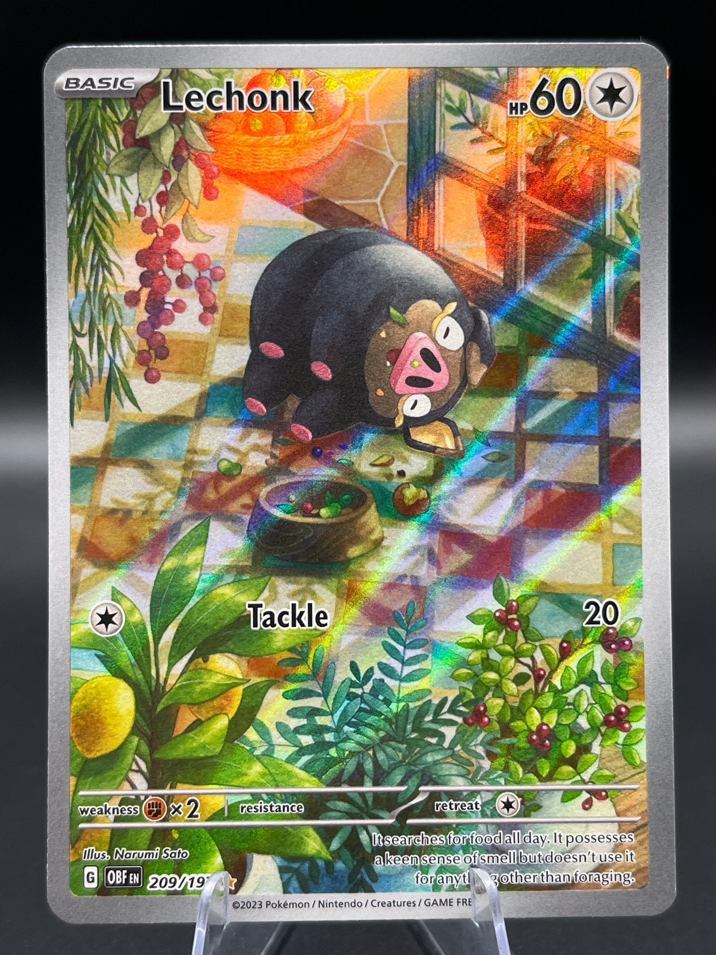 Pokémon TCG: 2023 Lechonk - 209/197 - SV: Obsidian Flames