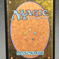 MTG TCG:  Momo, Friendly Flier R 0317 (Borderless) - Avatar: The Last Airbender