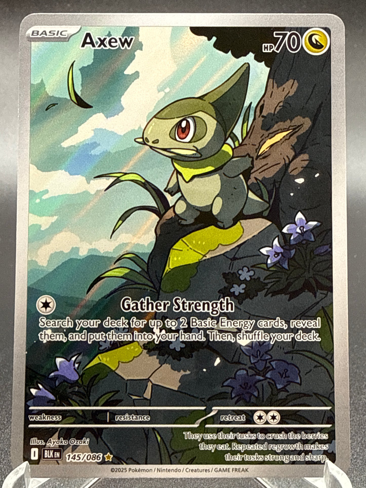 Pokémon TCG: 2025 Axew - 145/086 - SV: Black Bolt