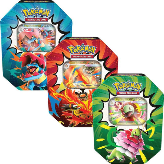 Pokémon TCG: Ascended Heroes Tin - (Artwork May Vary)