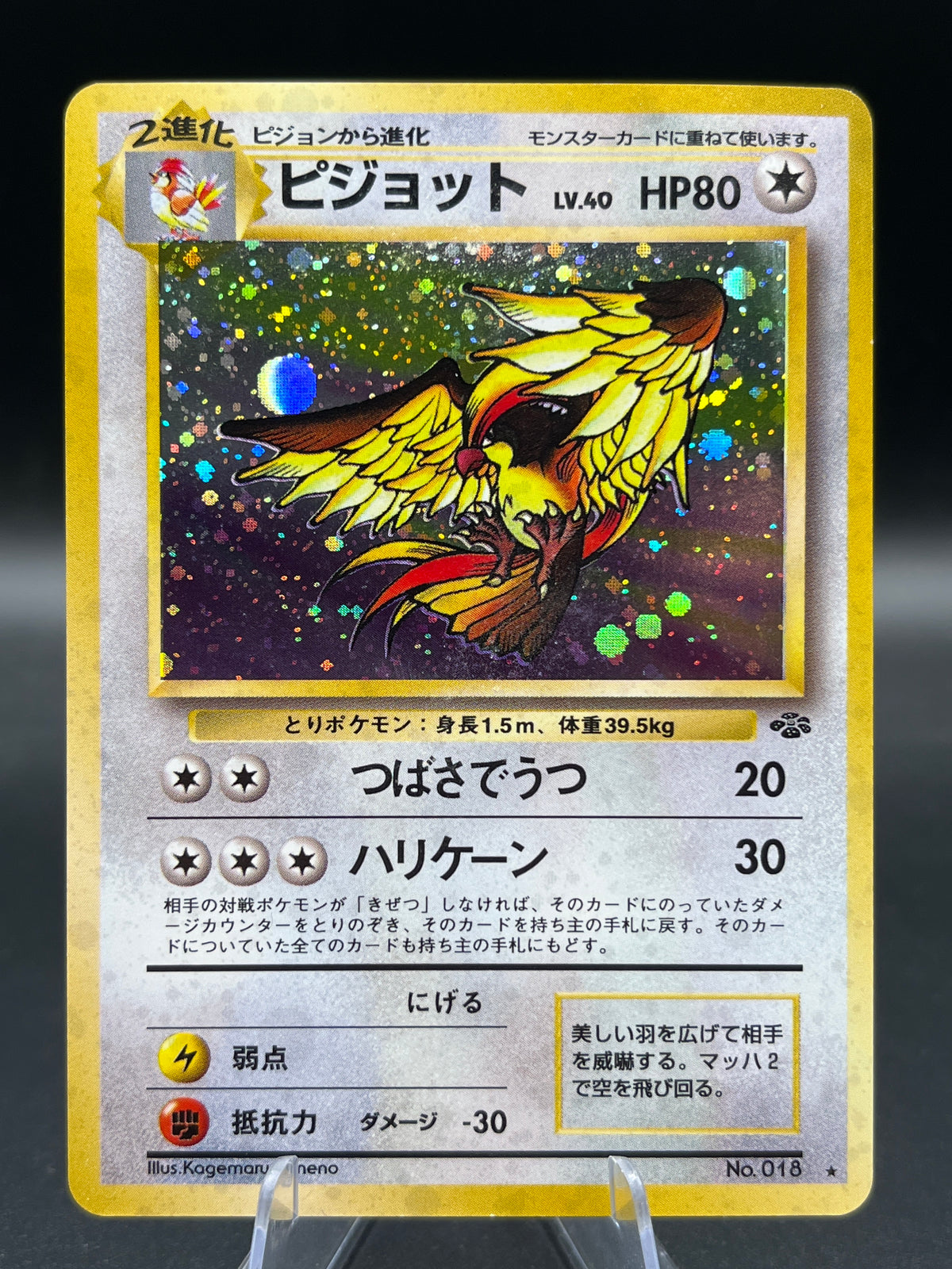 Pokémon TCG: 1997 Japanese Pidgeot #18 - Jungle