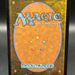 Magic The Gathering: 2026 Fili and Kili, Joyous (Borderless) - 0001 - The Hobbit: Eternal-Legal (HOC)