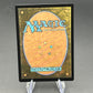 Magic The Gathering: Enlightened Confidant (Borderless) (0321) - Reality Fracture (FRA)