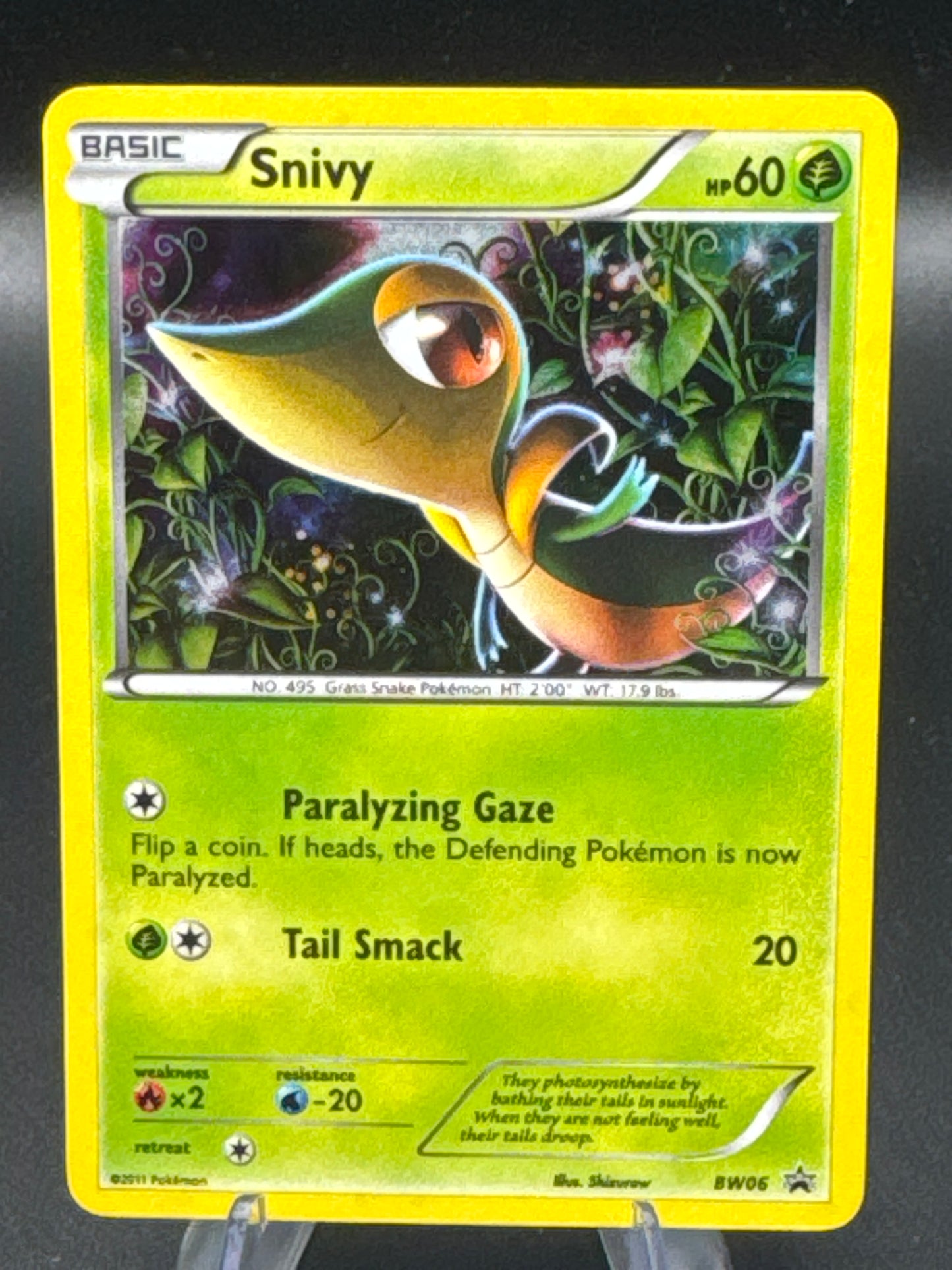 Pokémon TCG: 2011 Snivey BW06 BW: Promos