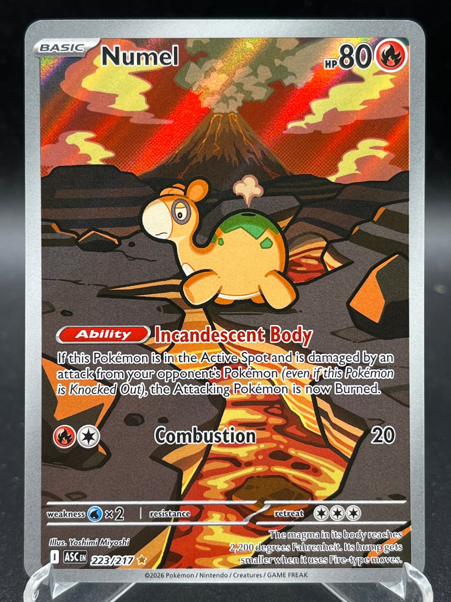 Pokémon TCG: 2026 Numel - 223/217 - ME: Ascended Heroes