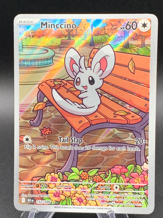 Pokémon TCG: 2025 Minccino - 152/086 - SV: Black Bolt